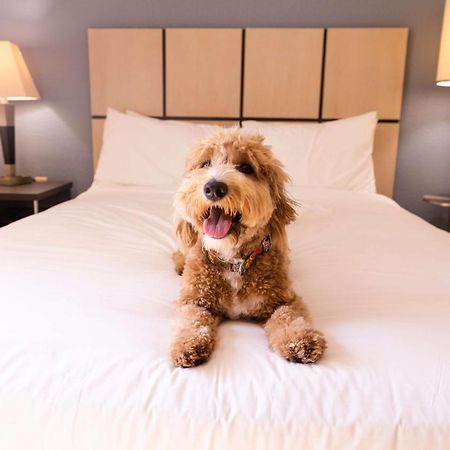 Sonesta Simply Suites Boston Burlington Buitenkant foto