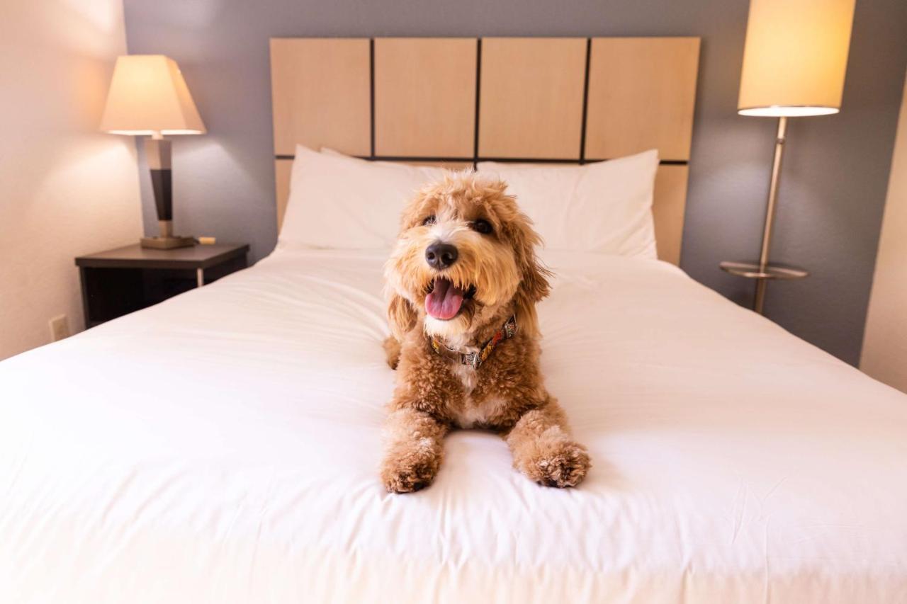 Sonesta Simply Suites Boston Burlington Buitenkant foto